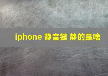 iphone 静音键 静的是啥